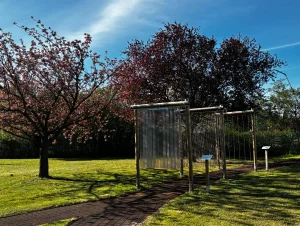 Link vergrößert das Bild:  ASB Pflege- und Betreuungszentrum "Weidenblick" in Gröditz Sinnesgarten